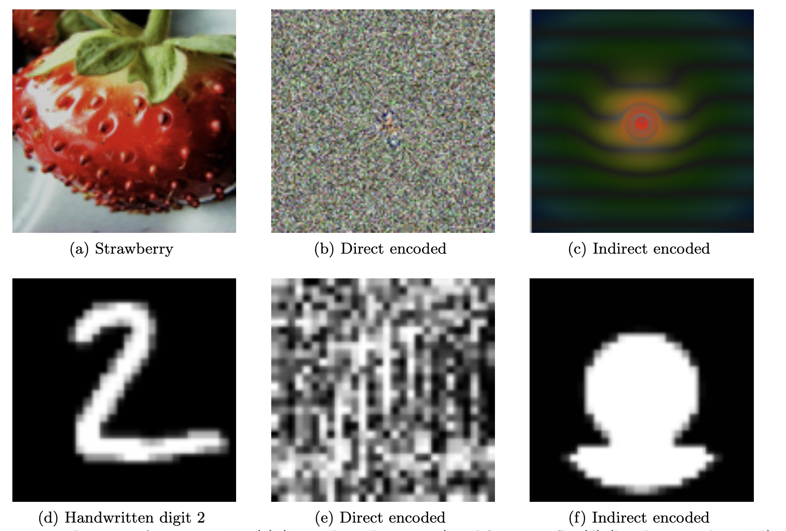 Adversarial image encoding of a strawberry
